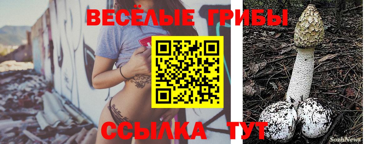 как найти   Галлюциногенные грибы MAGIC MUSHROOMS  Углич  Вход с VPN  Псилоцибиновые грибы мухоморы 