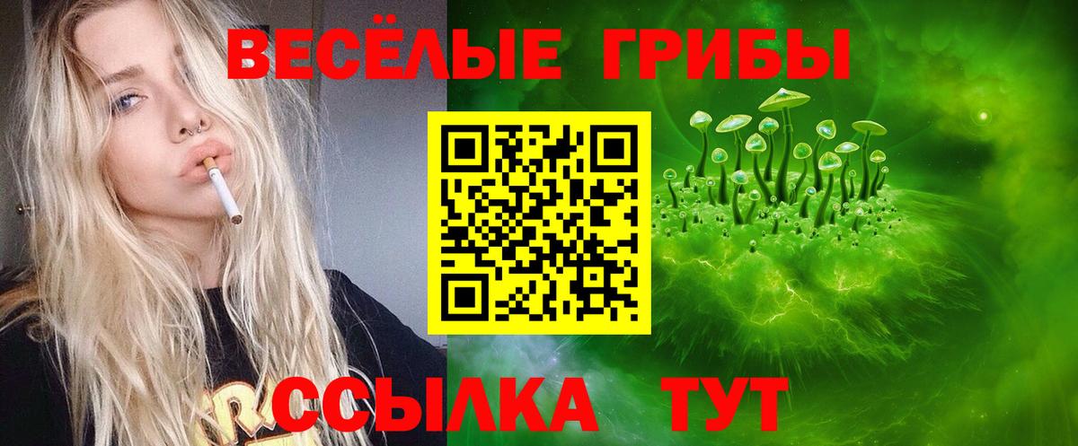 Псилоцибиновые грибы GOLDEN TEACHER Углич